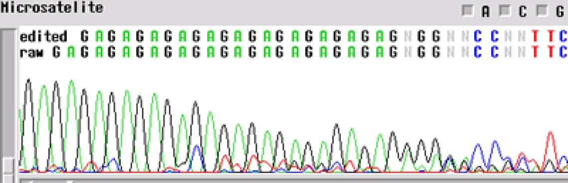 microsatellite